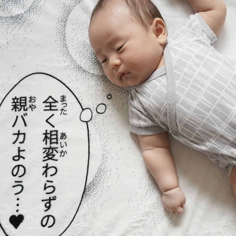 お昼寝コミックブランケット／狸寝入り | ekōD Works