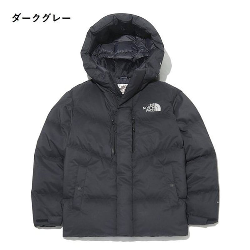 THE NORTH FACE ダウンジャケット　黒　メンズ　海外Lサイズ