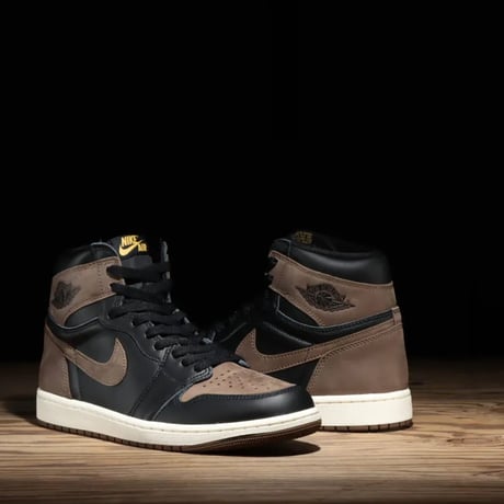 Nike Air Jordan 1 Retro High OG Palomino ナイキ エアジョーダン 1 レトロ