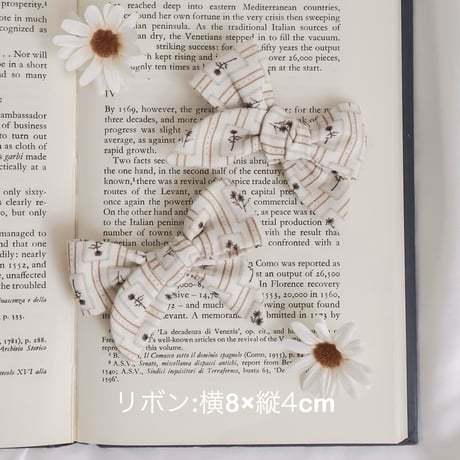 classic ribbon clip  -standard-