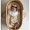 stella bib   - constellation -