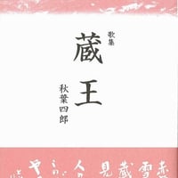 玉城徹歌集『左岸だより』 | いりの舎