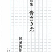 玉城徹歌集『左岸だより』 | いりの舎
