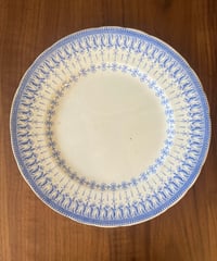 フランスアンティーク　Creil et Montereau 　クレイユモントロー　Flora Rocaille　C