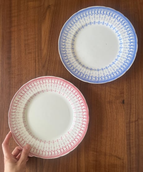 フランスアンティーク　Creil et Montereau 　クレイユモントロー　Flora Rocaille　C