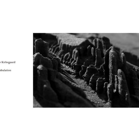 DVD, Book, Photo Card | Jacob Kirkegaard :: Sabulation -MATTER013