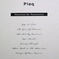 DATA - mp.3 | Absorbed By Resonance :: Pleq - MATTER005
