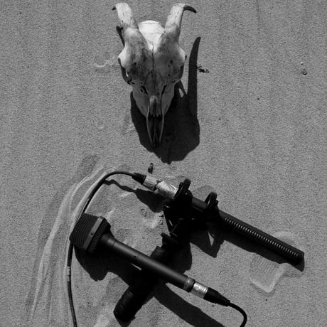 DVD, Book, Photo Card | Jacob Kirkegaard :: Sabulation -MATTER013
