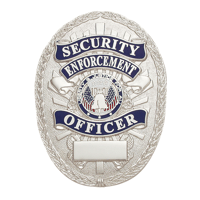 SECURITY ENFORCEMENT OFFICERバッジ | Detective Dev