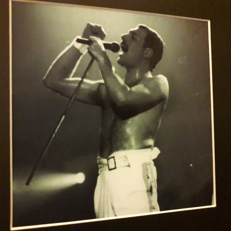 フレディ・マーキュリー写真＆サイン【アートプリントA4】ハンド