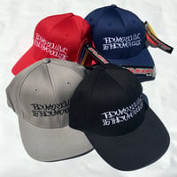 BUSHIDO BRAND FITED CAP TYPE3 BLACK,GRAY,BLUE,RED