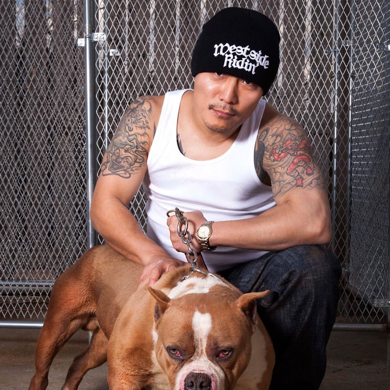 限定◆DJ D.O.G/BEST OF 69 MIXXX◆レア◆ 限定◇DJ D.O.G/BEST OF 69 MIXXX◇レア◇