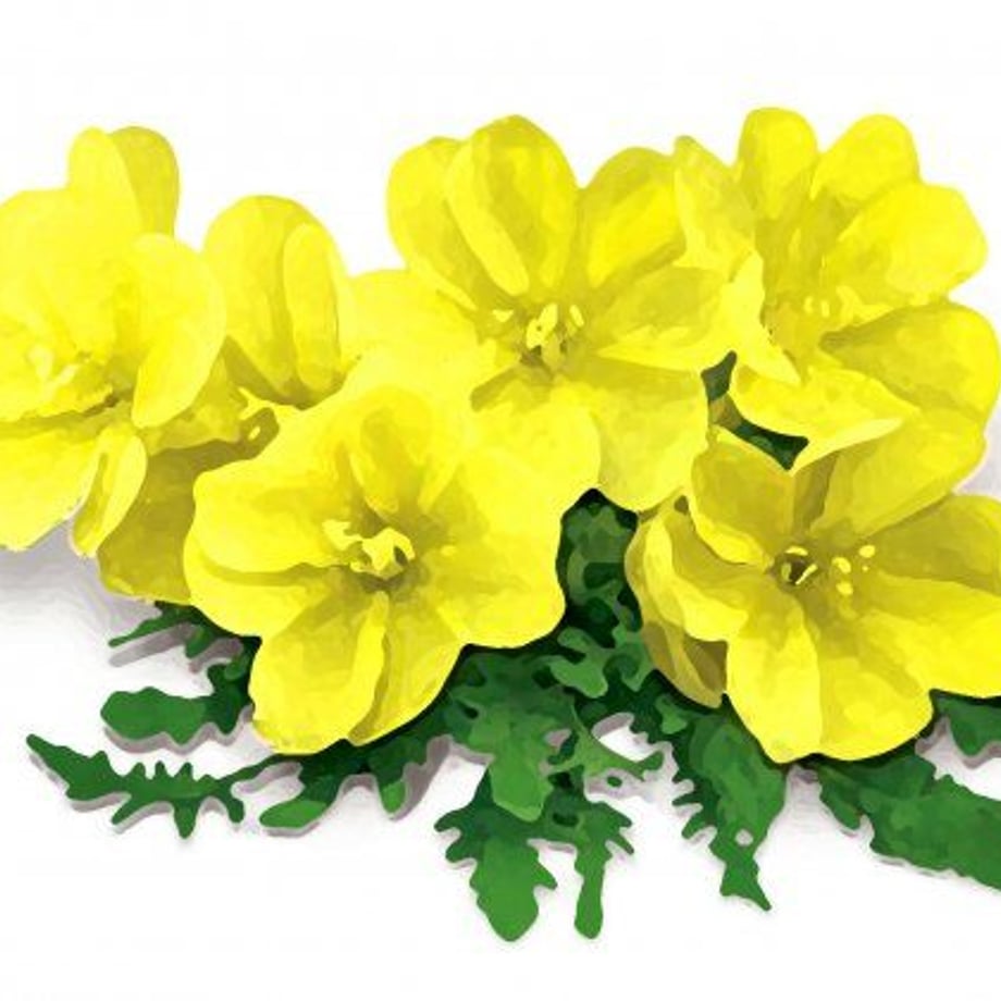 640ad6845aafae09dc6053a7