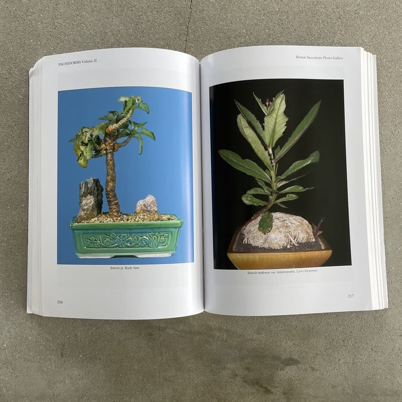 Caudiciform and Pachycaul Succulents 洋書 Caudiciform and