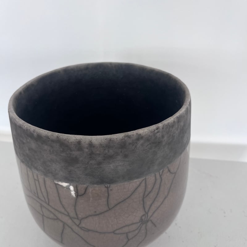 DOMANI MINSK 20 | curious plants works