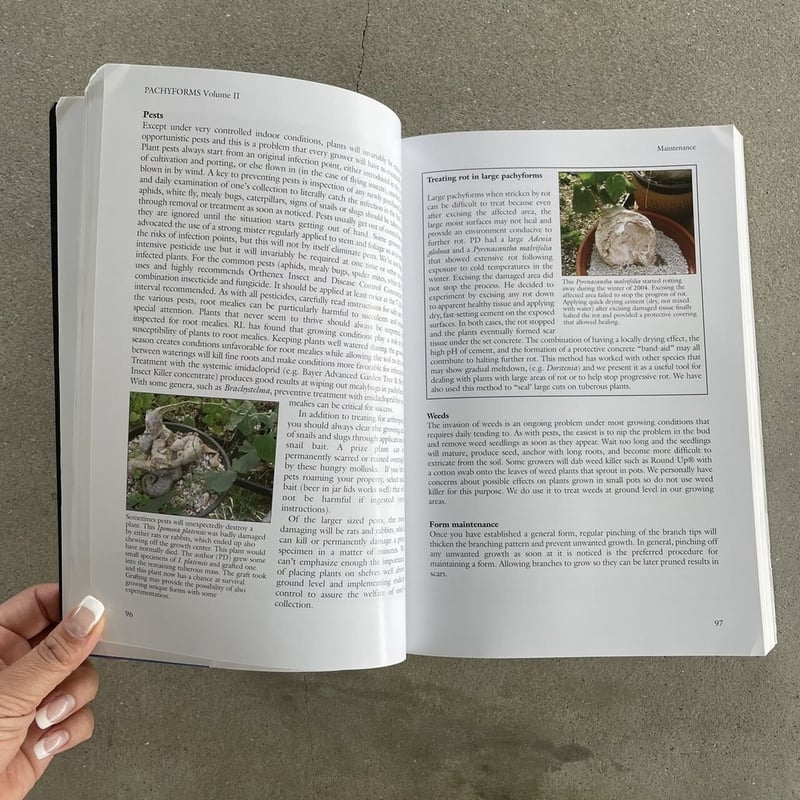 PACHYFORMS Ⅱ | curious plants works