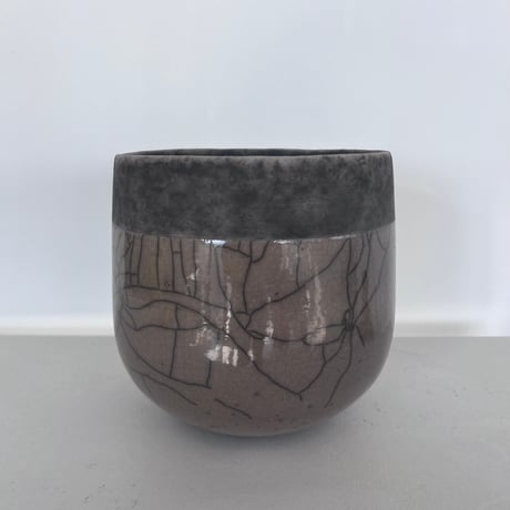 CATEGORY DOMANI | curious plants works