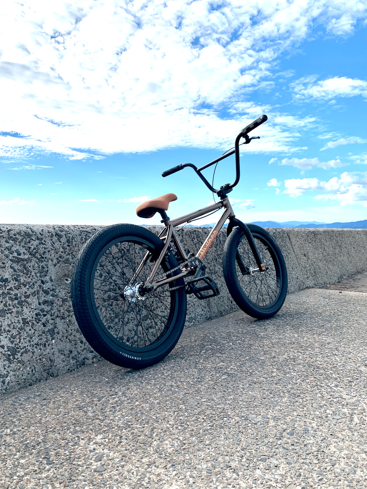 SERIES ONE SM FIT BIKE CO. TT20.25 | CRANK WEB