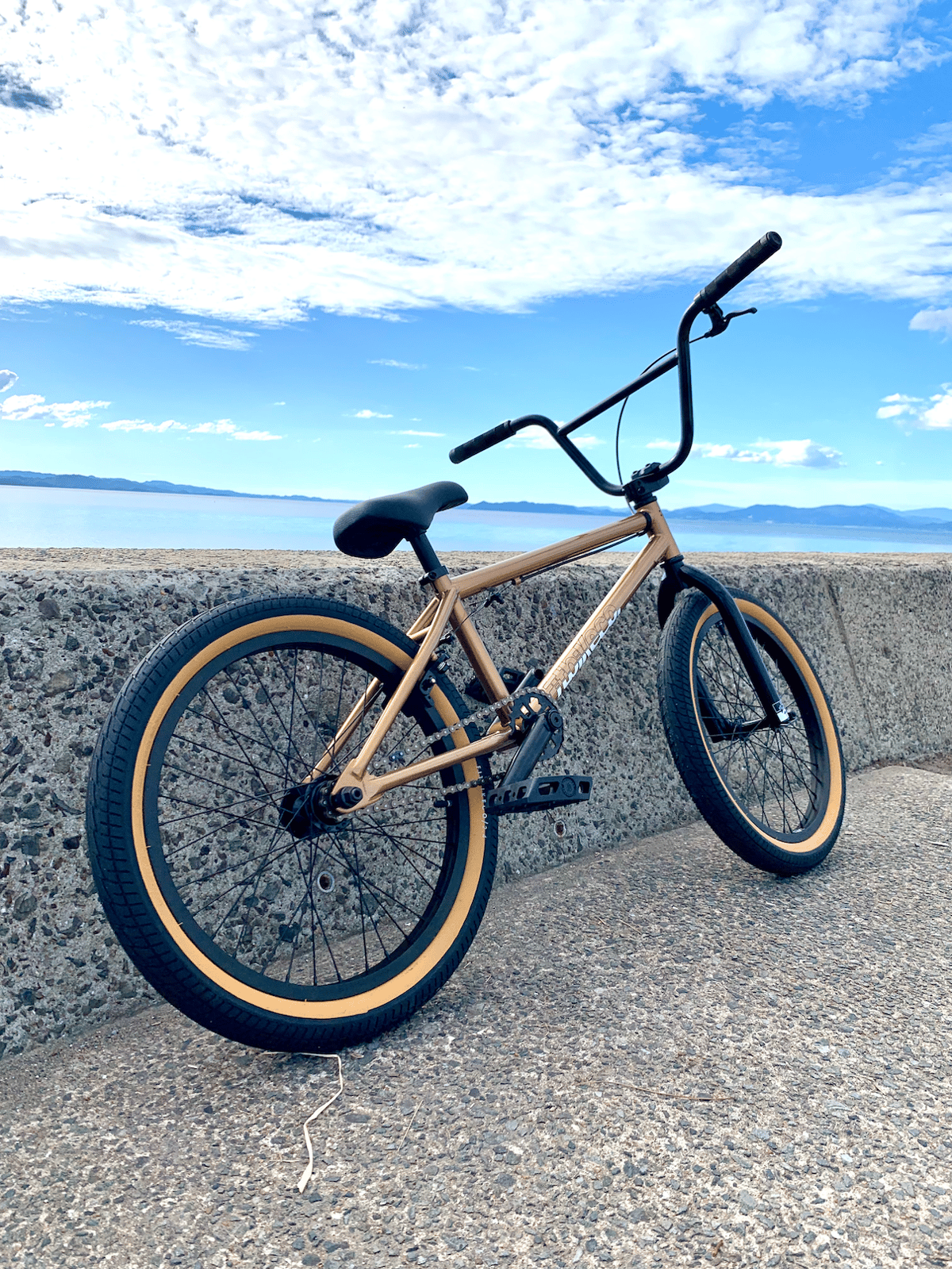 SERIES ONE MD FIT BIKE CO. | CRANK WEB STORE