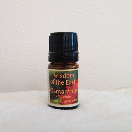 Wisdom of the Earth