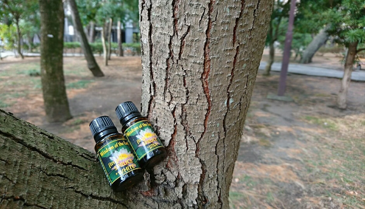 WOTE 精油体験講座（精油サンプルセット付き） | 