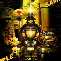 Japanese warrior SAMURAI 天下人－豊臣秀吉－　４つ切りワイドサイズ額入り