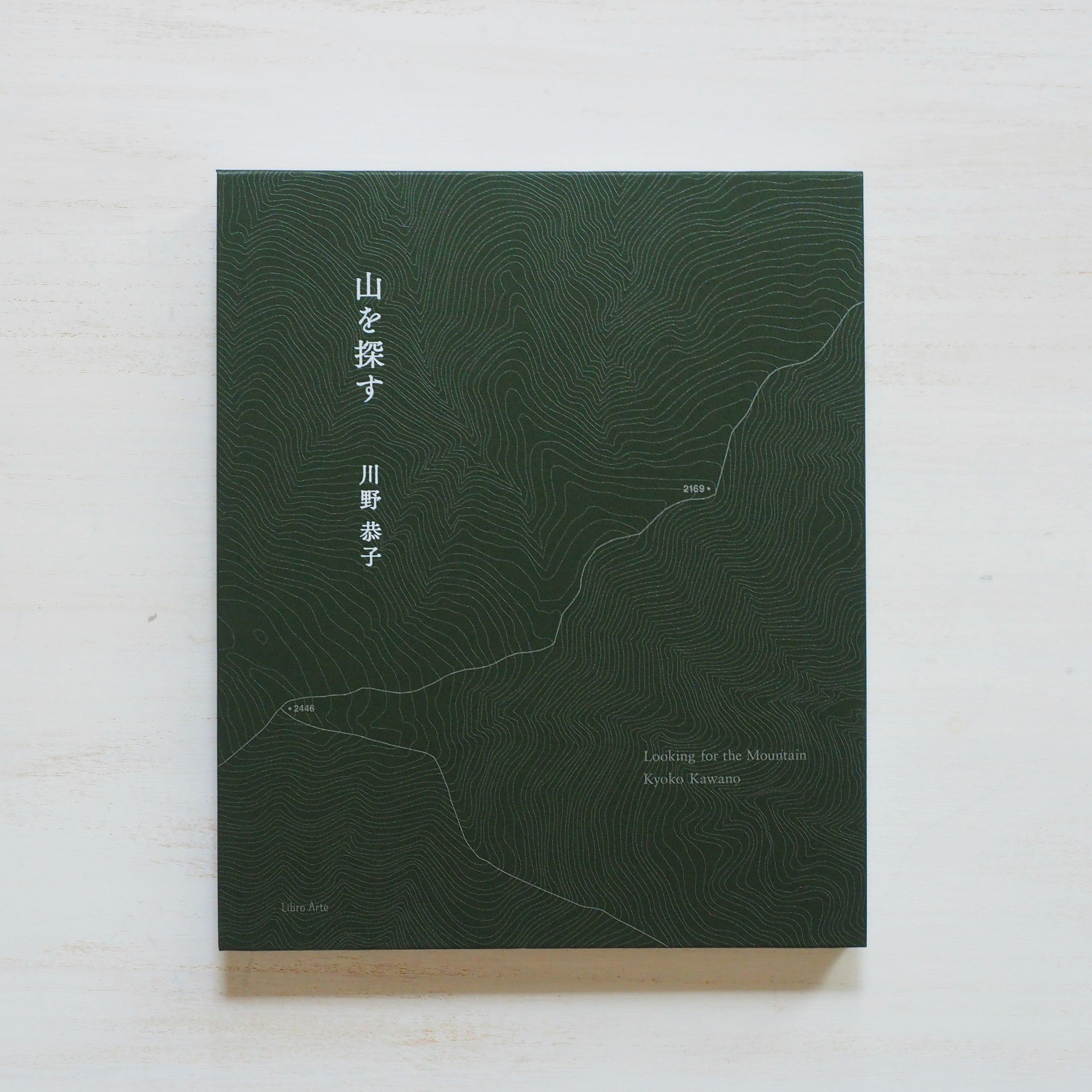 山を探す　川野恭子　Kyoko Kawano　直筆サイン signed original