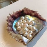 Tsushima Pearl
