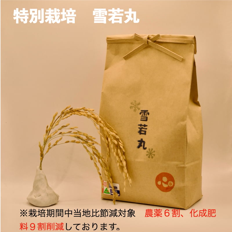 新米令和8年産！！特別栽培雪若丸5kg（精米） | s.s.sasanishiki
