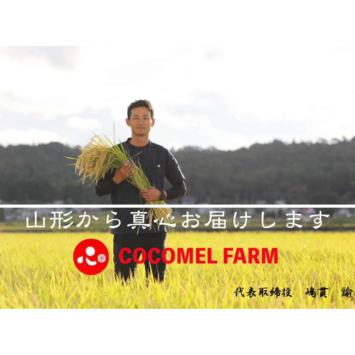 新米令和7年産！！ sasanishiki 10kg（精米） | s.s.sasanishiki
