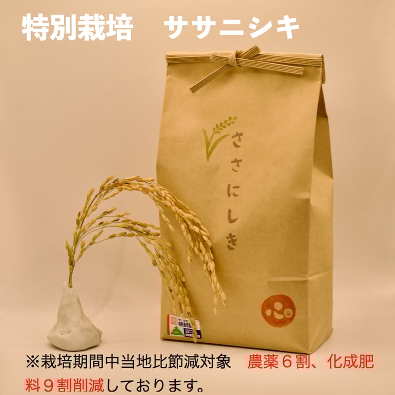 新米令和7年産！！ sasanishiki 10kg（精米） | s.s.sasanishiki