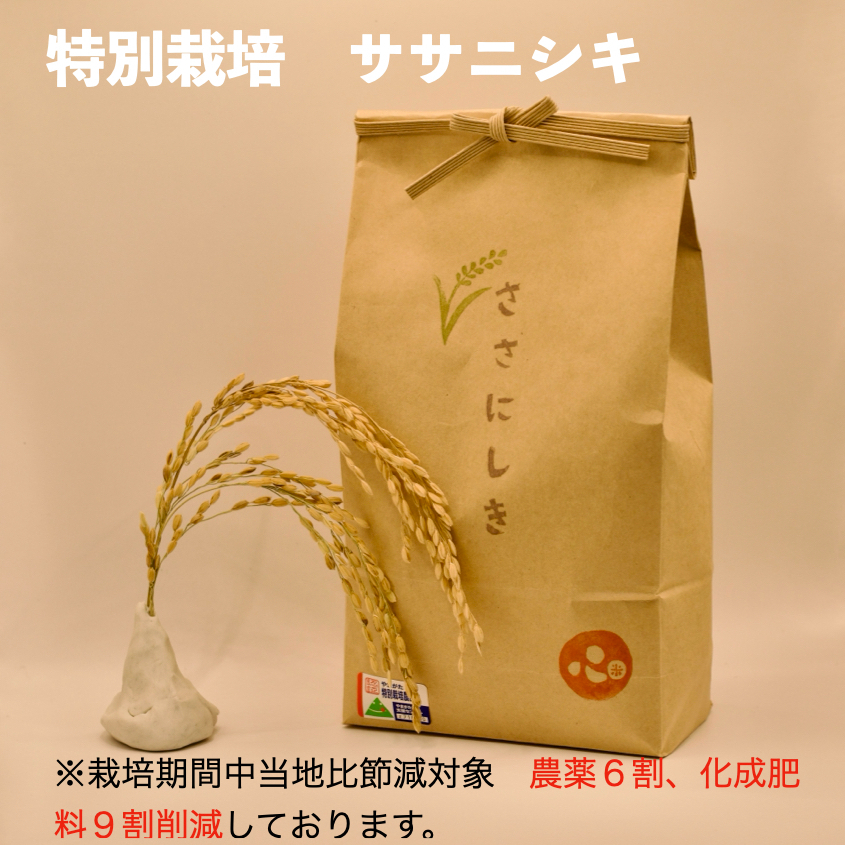 新米令和7年産！！ sasanishiki 10kg（精米） | s.s.sasanishiki