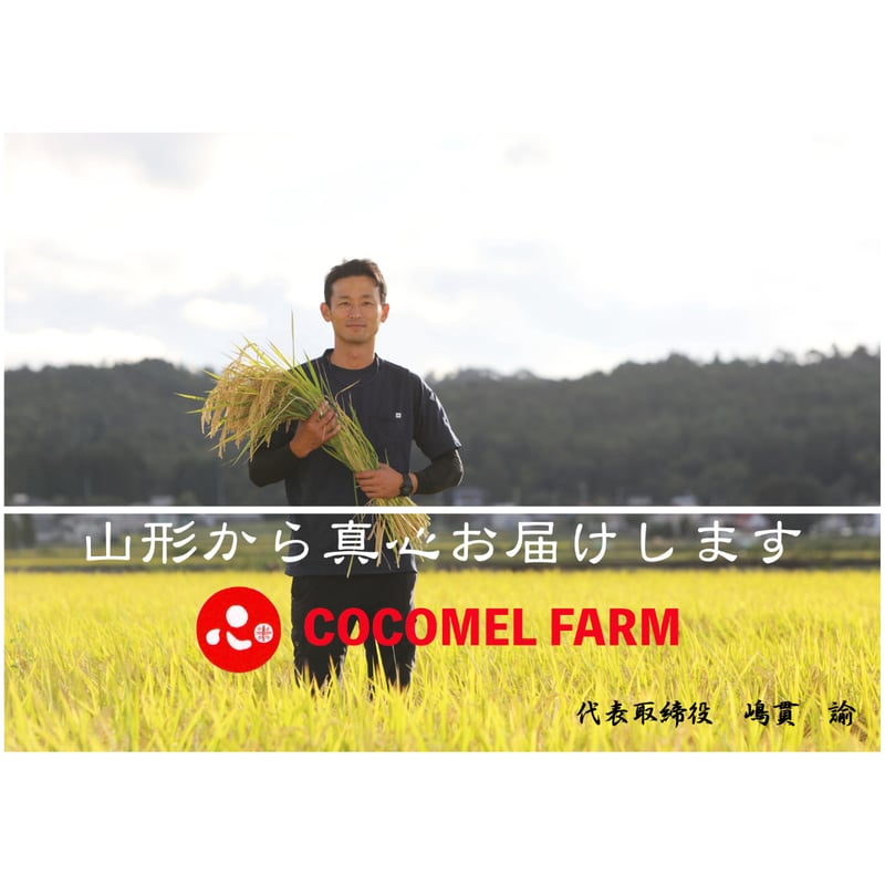新米令和7年産！！ sasanishiki 5kg（玄米） | s.s.sasanishiki