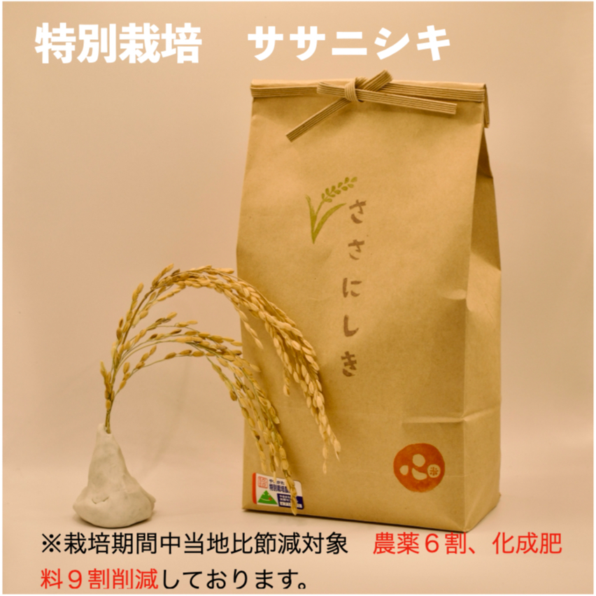 新米令和7年産！！ sasanishiki 5kg（玄米） | s.s.sasanishiki