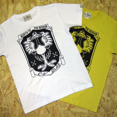 North of the region TEE