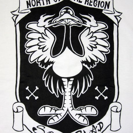 North of the region TEE