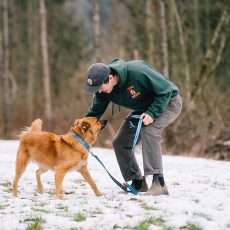 Roller Dawg Leash