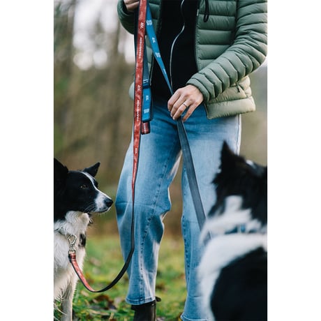 PARTY IN THE WOODS LEASH