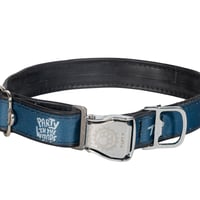 PARTY IN THE WOODS DOG COLLAR