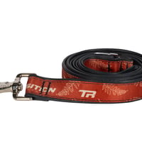 FALL FERN LEASH
