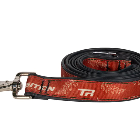 FALL FERN LEASH