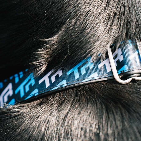 TR Logo Dog Collar
