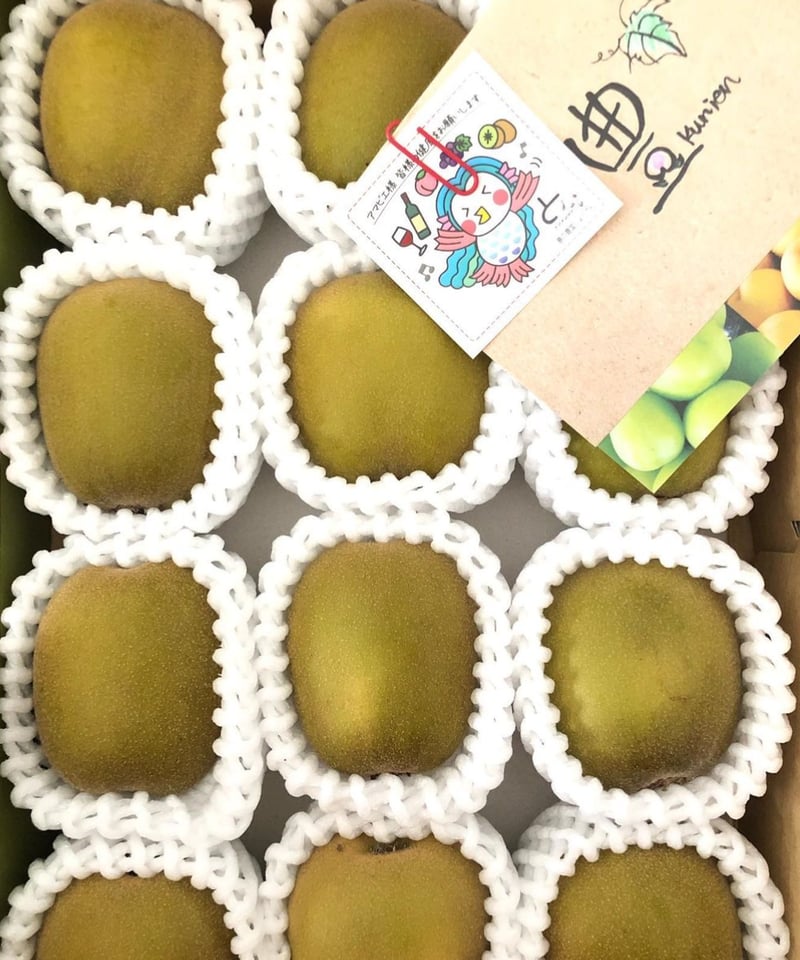 レッドキウイフルーツ約1.5㌔箱（10〜15個入）冷蔵便送料、税込