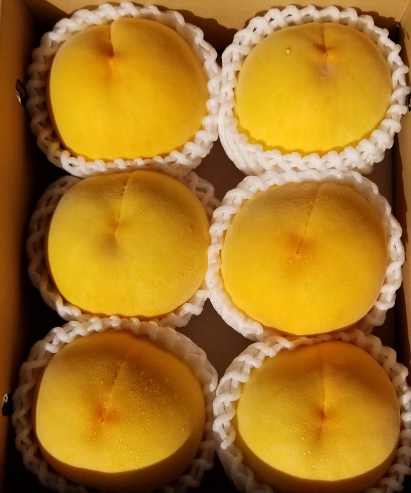 黄金桃約2㌔箱入（5〜6玉）冷蔵便送料、税込 | ヴェレゾン豊国×夢の