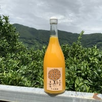 ぽんかんジュース　720ml