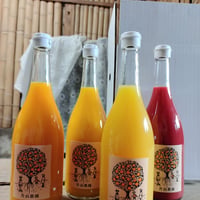 みかんジュース4本セット