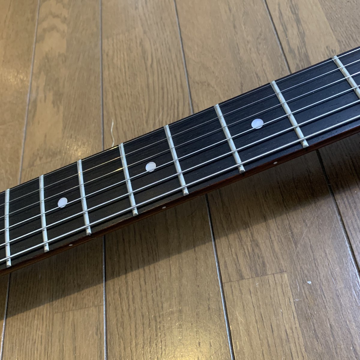 グレコ 左 fit=scale-down,w=1200