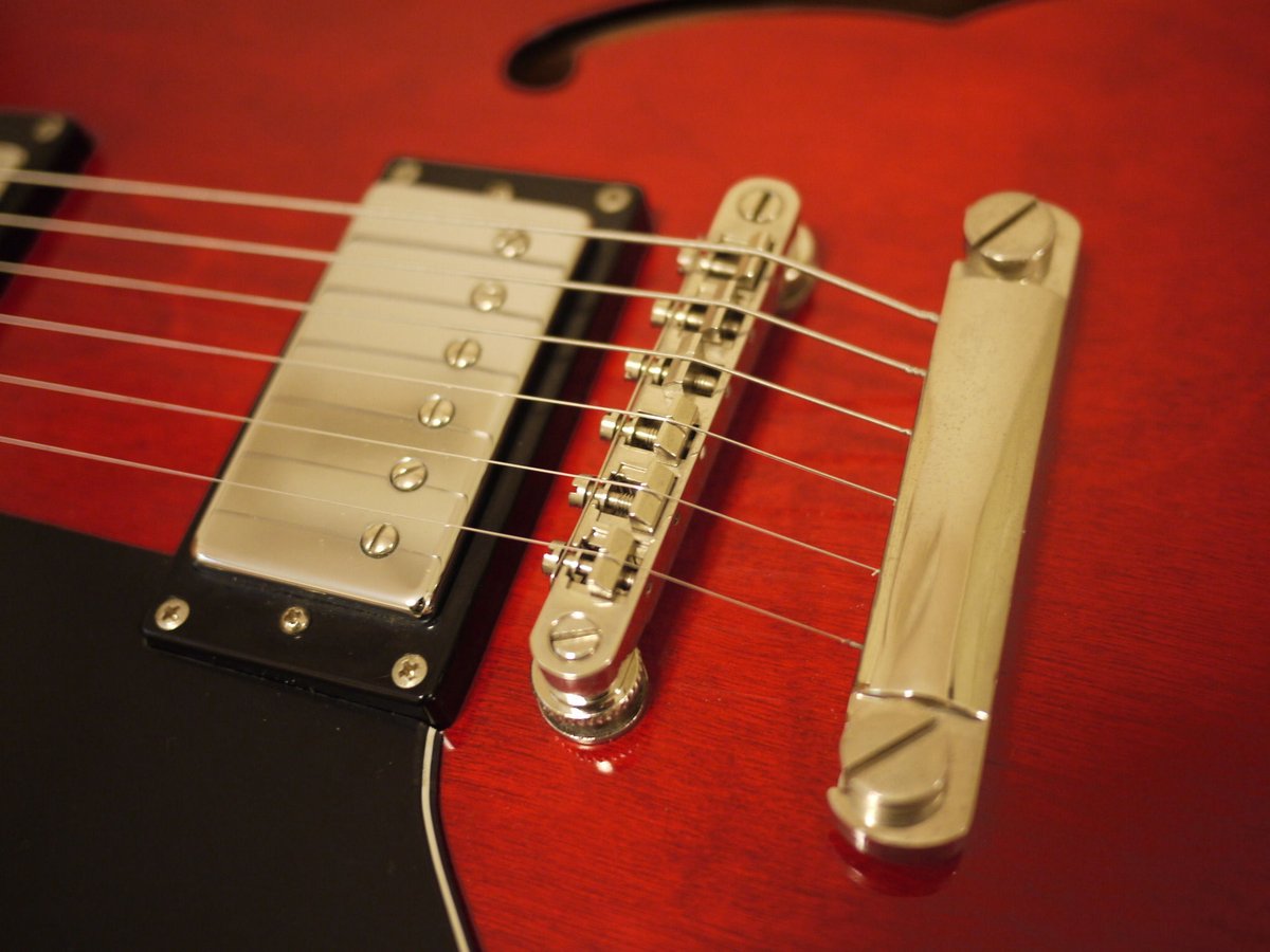 美品 Epiphone エピフォン Dot ドット ナチュラル ハードケース付 Epiphone Epiphone(エピフォン) 純正 335 専用 ハードケース カジノ