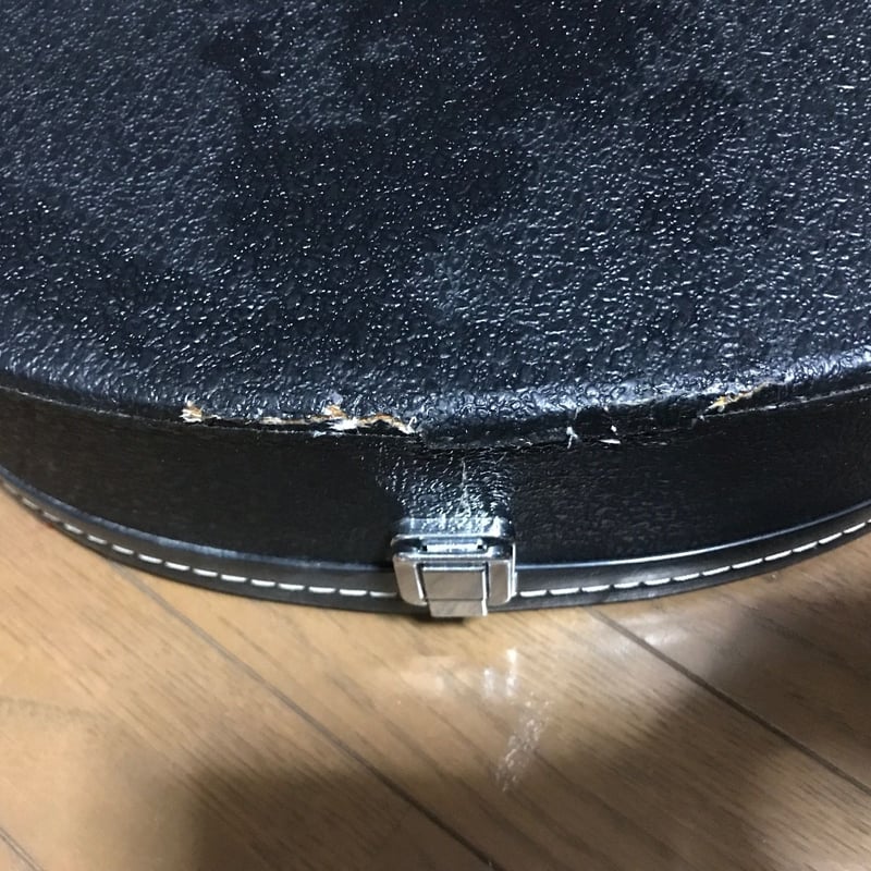 Epiphone Dot Lefty エピフォン ドット レフティ with ハードケース |