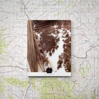 THE COLLECTIVE QUARTERLY ISSUE 1: ABSAROKA